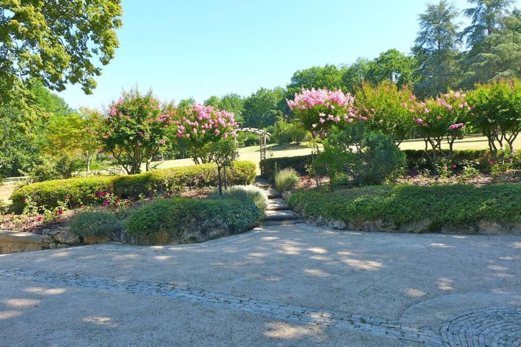 סן-סיפרייה Chateau La Carriere מראה חיצוני תמונה